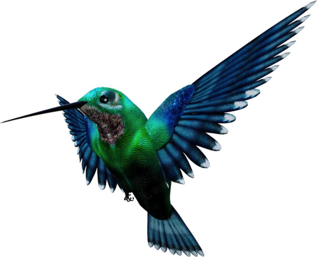 3/4 sideviw of humming bird flying midair.